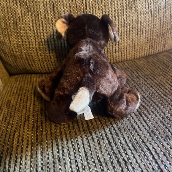 Ganz Webkinz 8" Mocha Pup - Picture 2 of 5